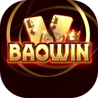 BaoWin Net